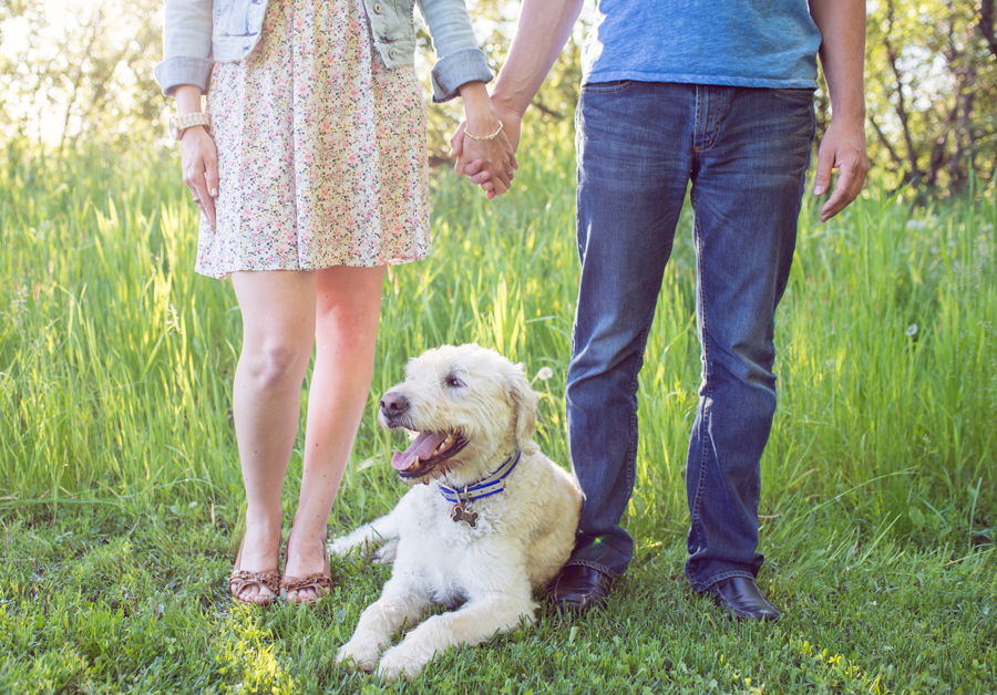 backyard love story engagement 10