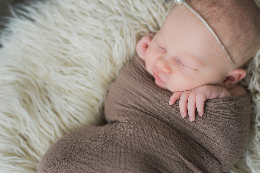 Edmonton Newborn Photographer