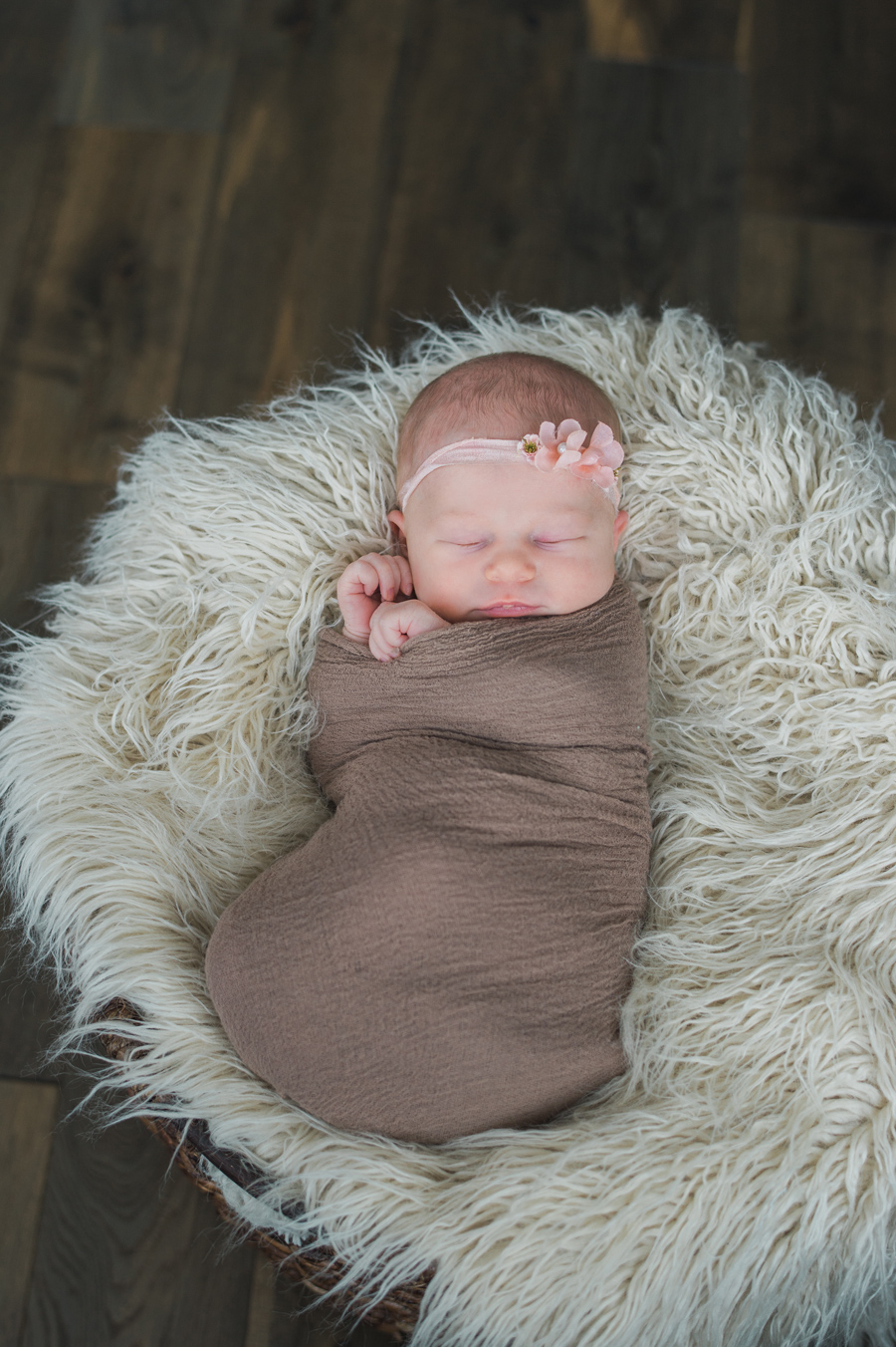 Edmonton Newborn Photographer